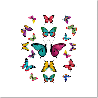 Butterflies Posters and Art